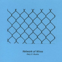 Network of Wires