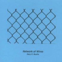 Network of Wires